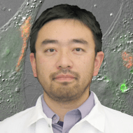 Haruki Hasegawa